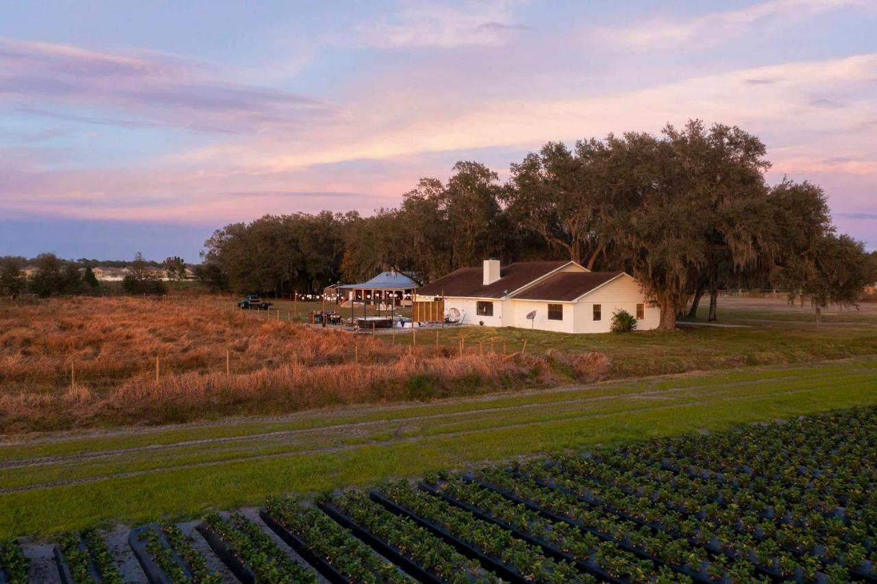 Plant City Home With Outdoor Pool! Buitenkant foto